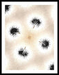 Dandelion Glaze - Framed Print