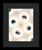 Dandelion Glaze - Framed Print