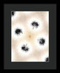 Dandelion Glaze - Framed Print