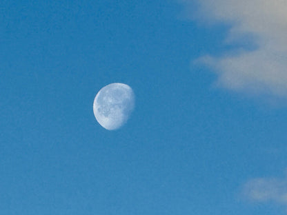The Moon in March