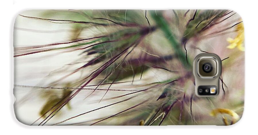 Foxtail - Phone Case