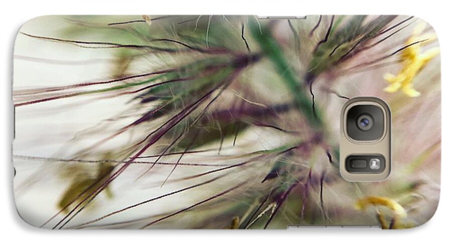 Foxtail - Phone Case