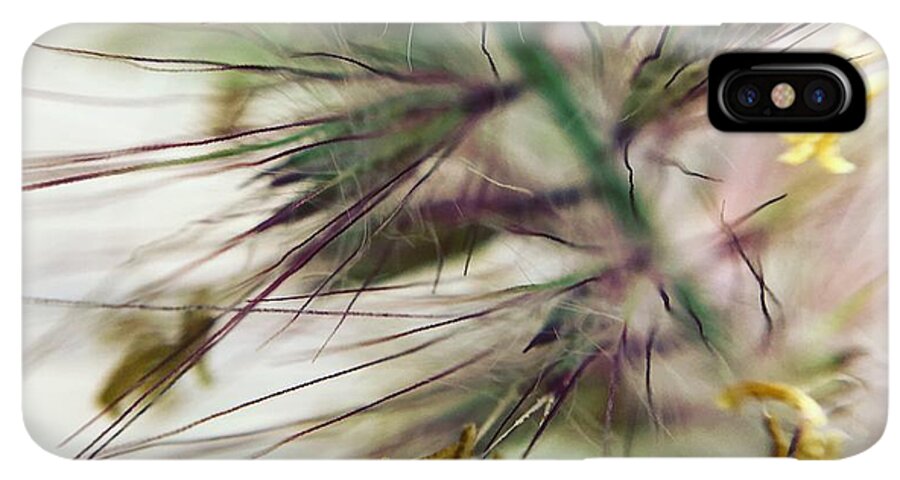 Foxtail - Phone Case