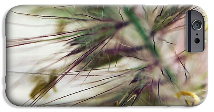 Foxtail - Phone Case