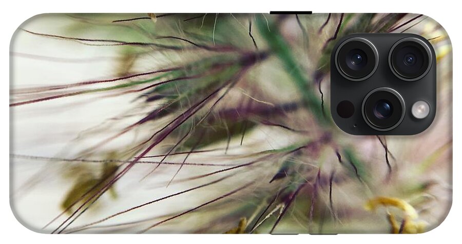Foxtail - Phone Case