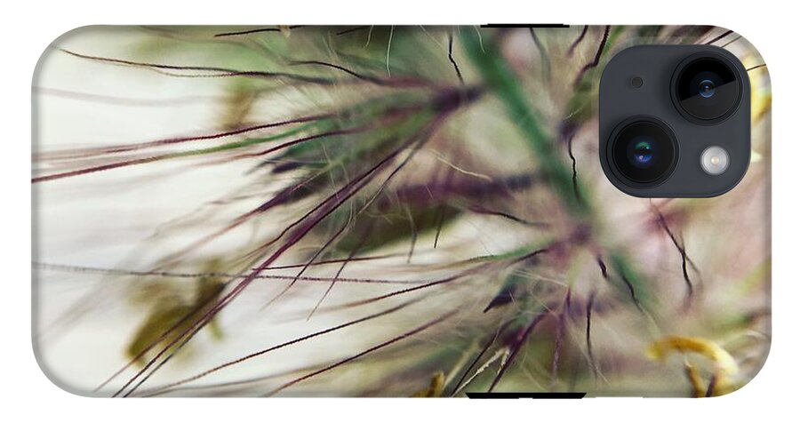 Foxtail - Phone Case