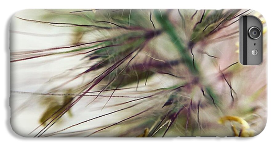 Foxtail - Phone Case