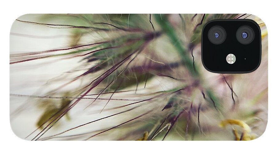 Foxtail - Phone Case