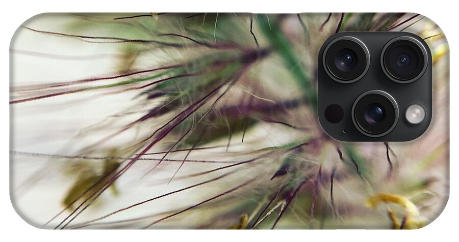 Foxtail - Phone Case
