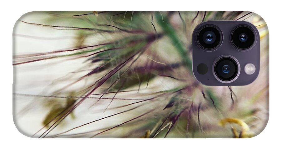 Foxtail - Phone Case