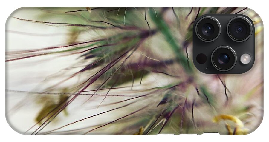 Foxtail - Phone Case