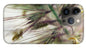 Foxtail - Phone Case