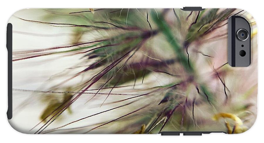 Foxtail - Phone Case