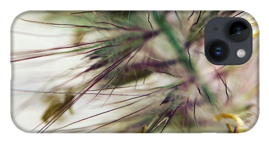 Foxtail - Phone Case