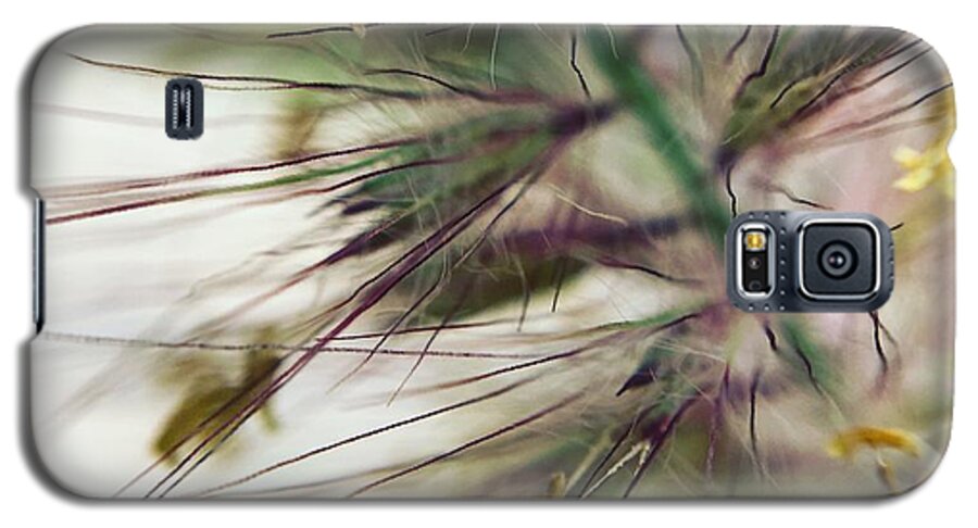 Foxtail - Phone Case