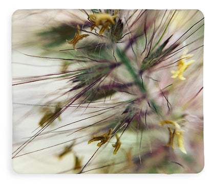 Foxtail - Blanket