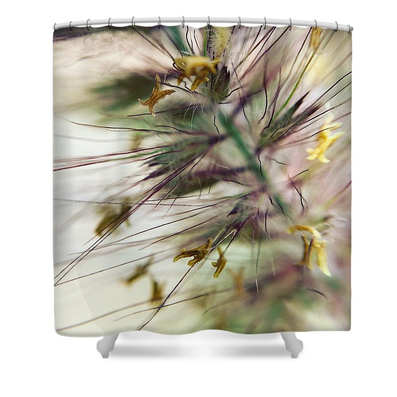 Foxtail - Shower Curtain