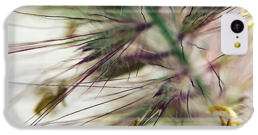 Foxtail - Phone Case