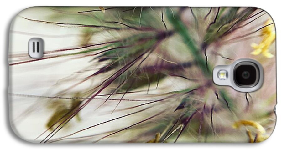 Foxtail - Phone Case