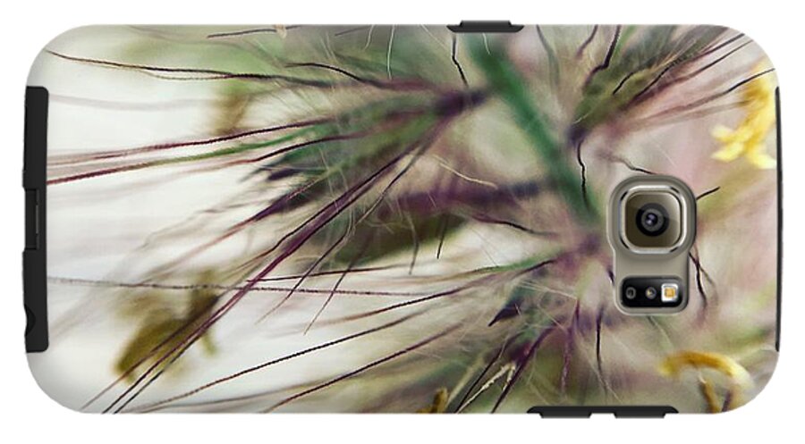 Foxtail - Phone Case
