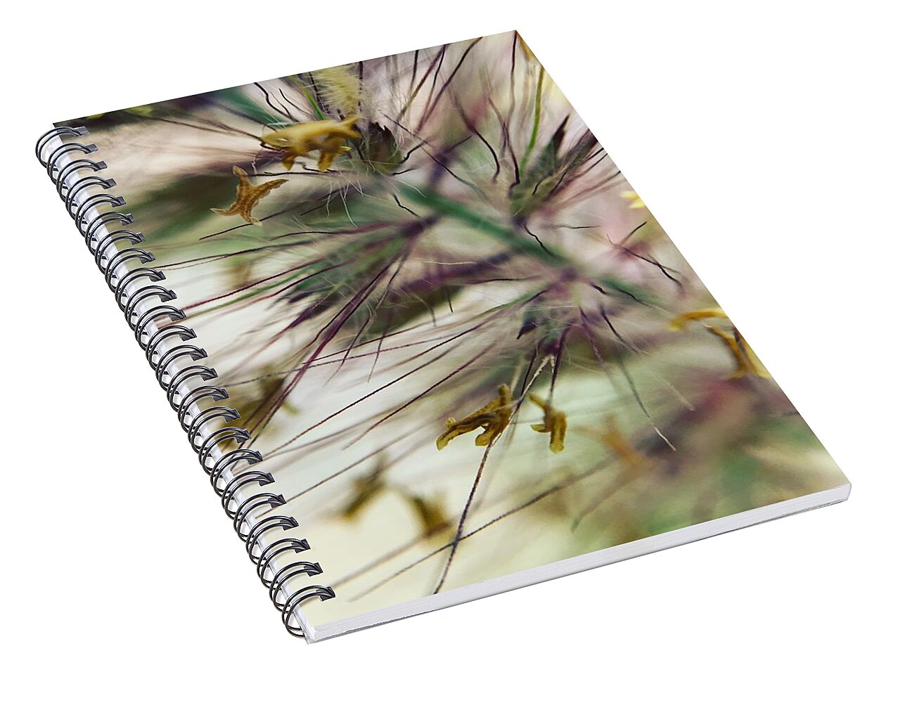 Foxtail - Spiral Notebook