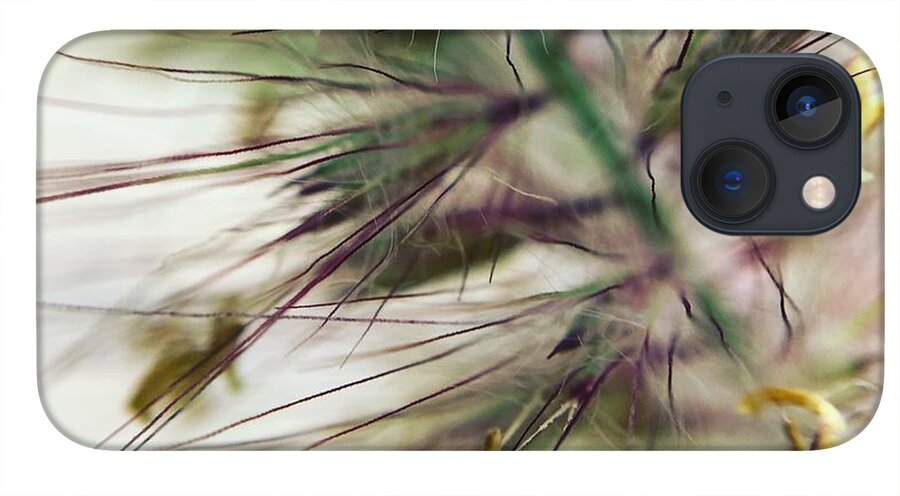 Foxtail - Phone Case