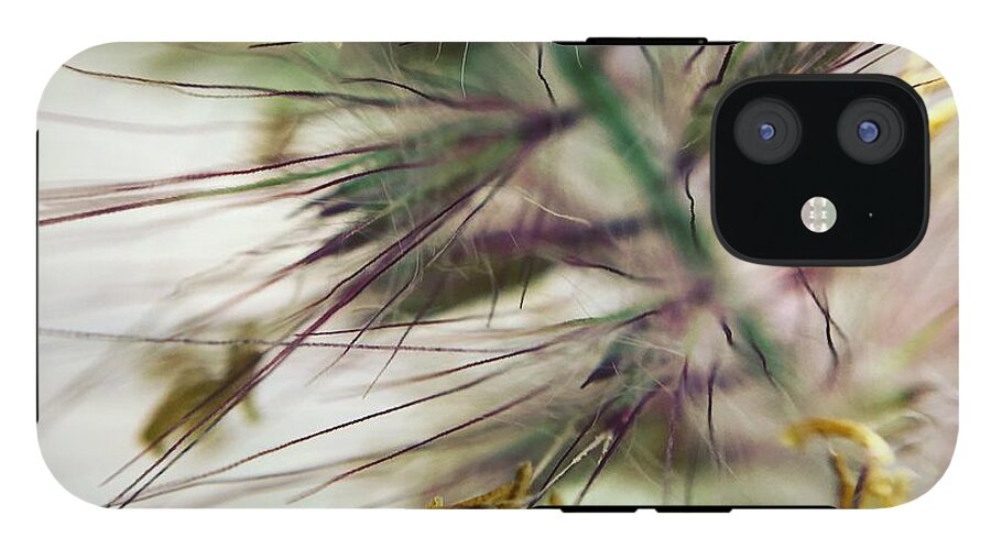 Foxtail - Phone Case