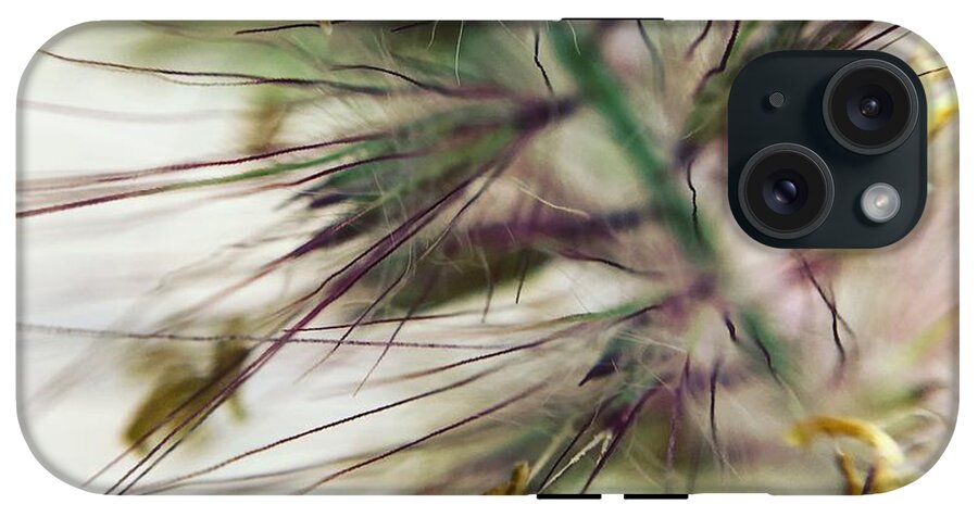 Foxtail - Phone Case
