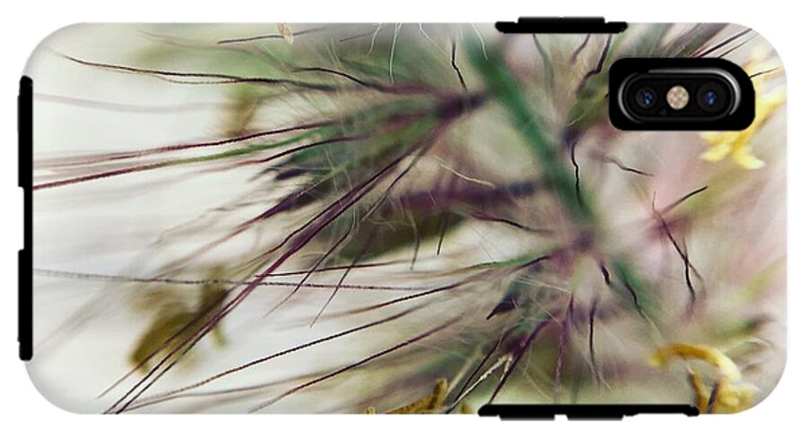 Foxtail - Phone Case