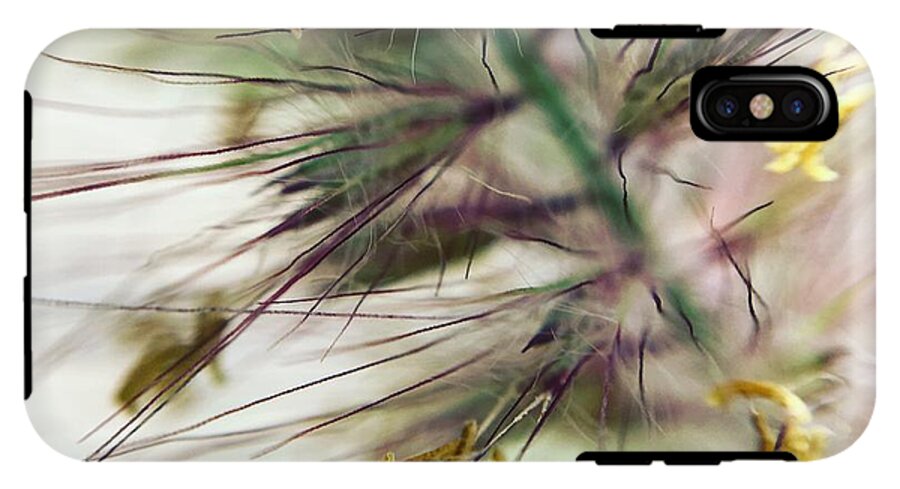 Foxtail - Phone Case