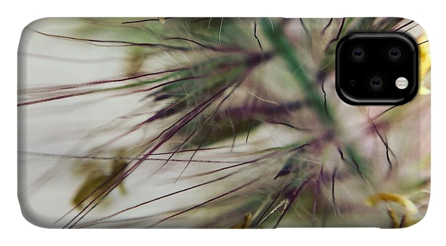 Foxtail - Phone Case