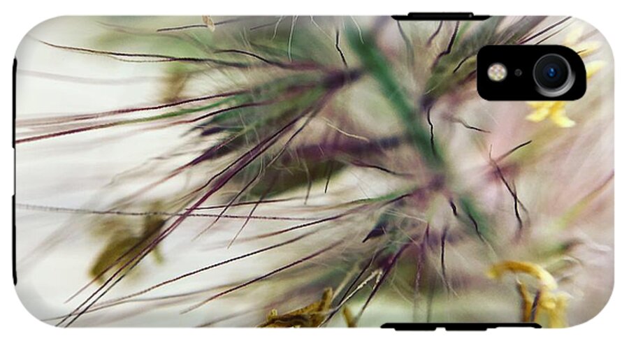 Foxtail - Phone Case