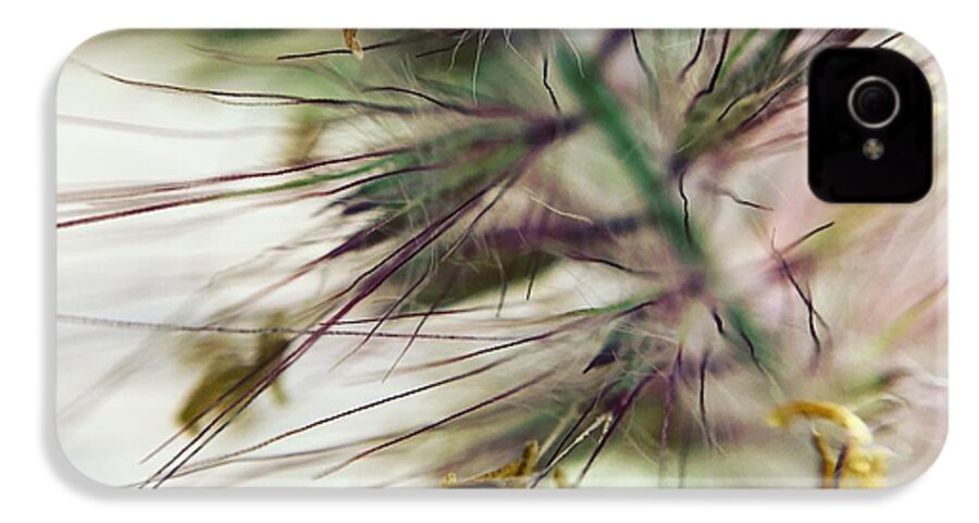 Foxtail - Phone Case