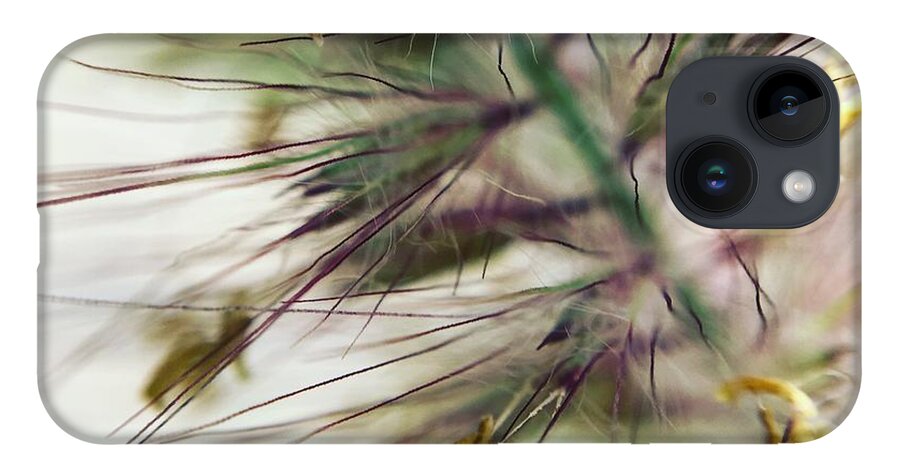 Foxtail - Phone Case