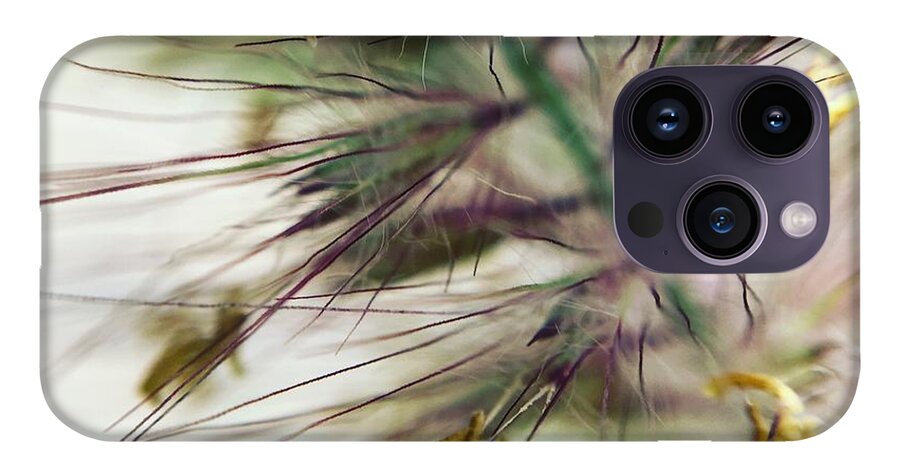 Foxtail - Phone Case