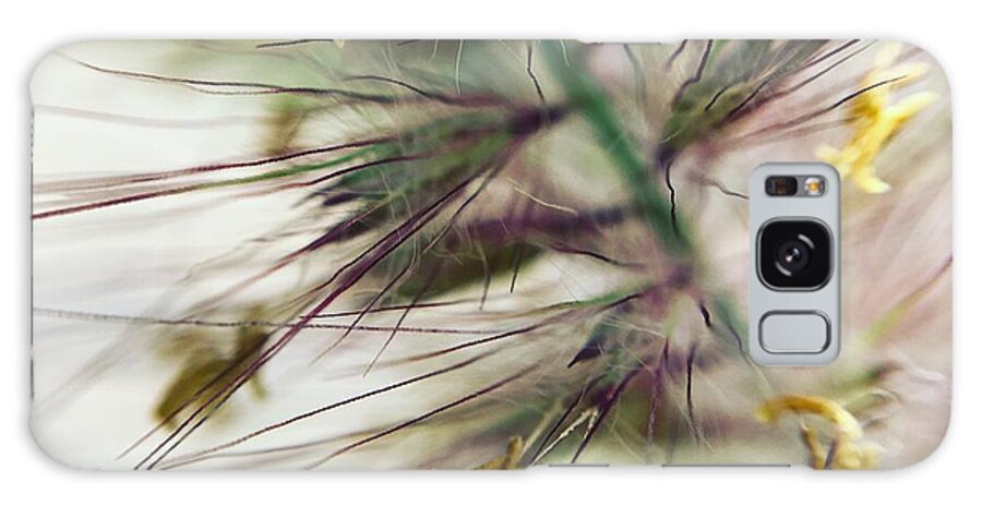 Foxtail - Phone Case