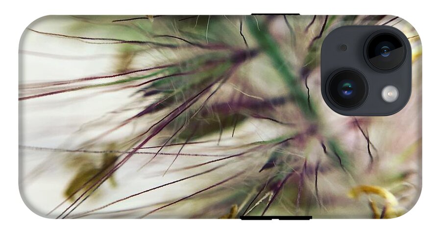 Foxtail - Phone Case