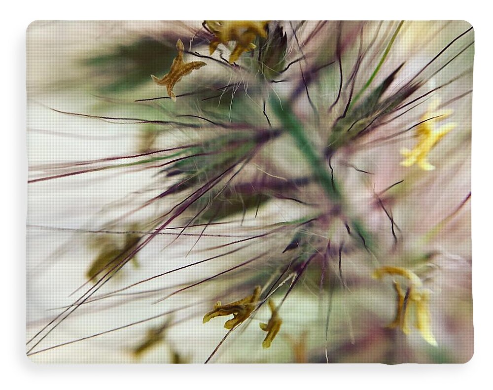 Foxtail - Blanket