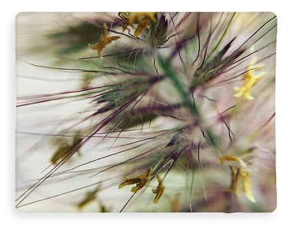 Foxtail - Blanket