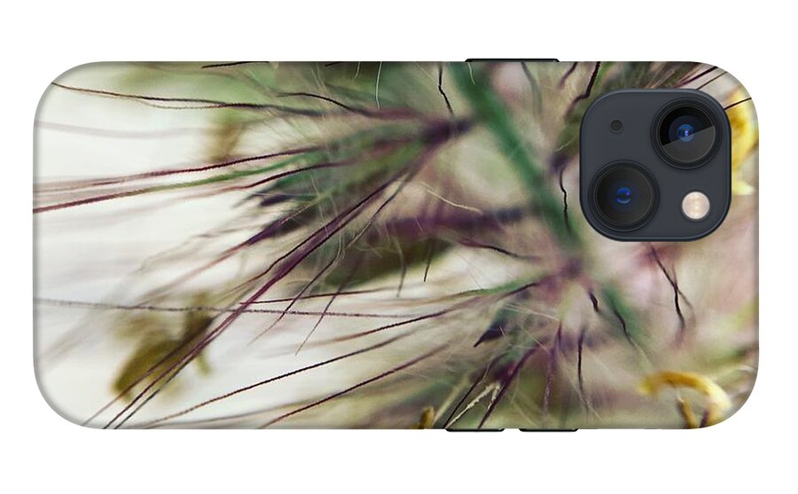 Foxtail - Phone Case