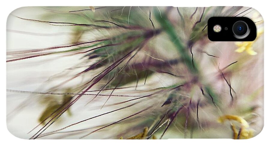 Foxtail - Phone Case