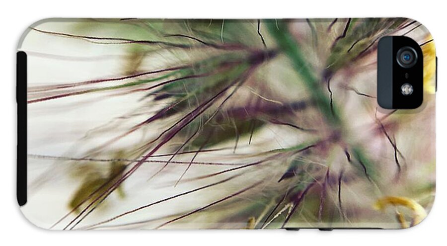 Foxtail - Phone Case
