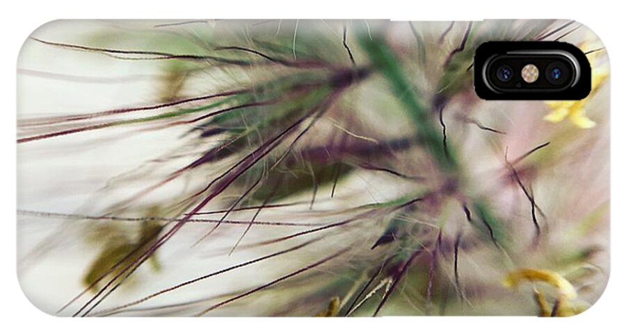 Foxtail - Phone Case