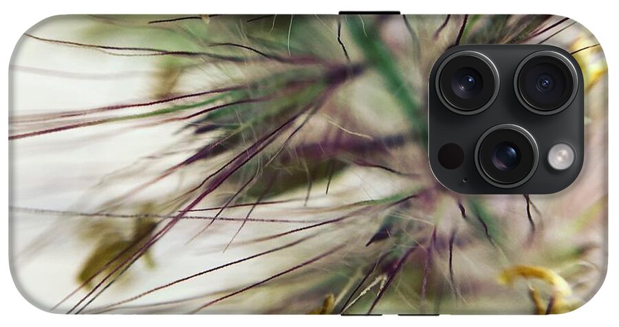 Foxtail - Phone Case