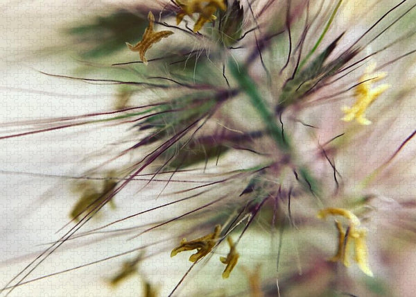 Foxtail - Puzzle