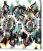 Owl Eyes II - Canvas Print