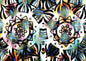 Owl Eyes II - Puzzle