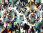 Owl Eyes II - Puzzle