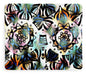 Owl Eyes II - Blanket