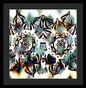 Owl Eyes II - Framed Print